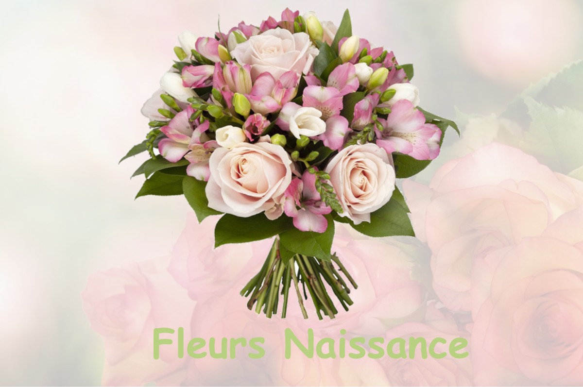 fleurs naissance LE-PLESSIER-HULEU