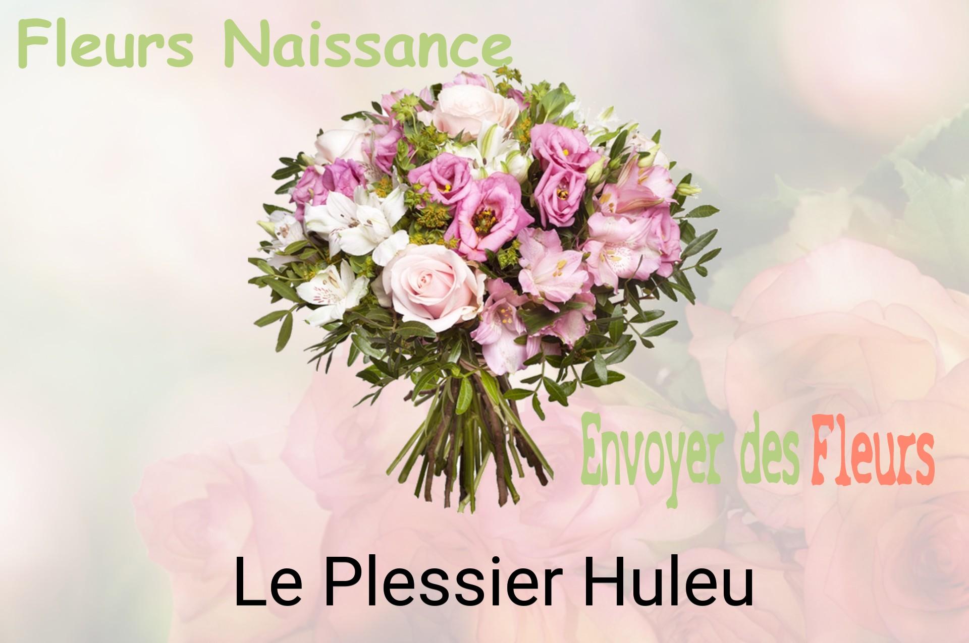 Bouquet de fleurs de naissance livré à Le Plessier-Huleu
